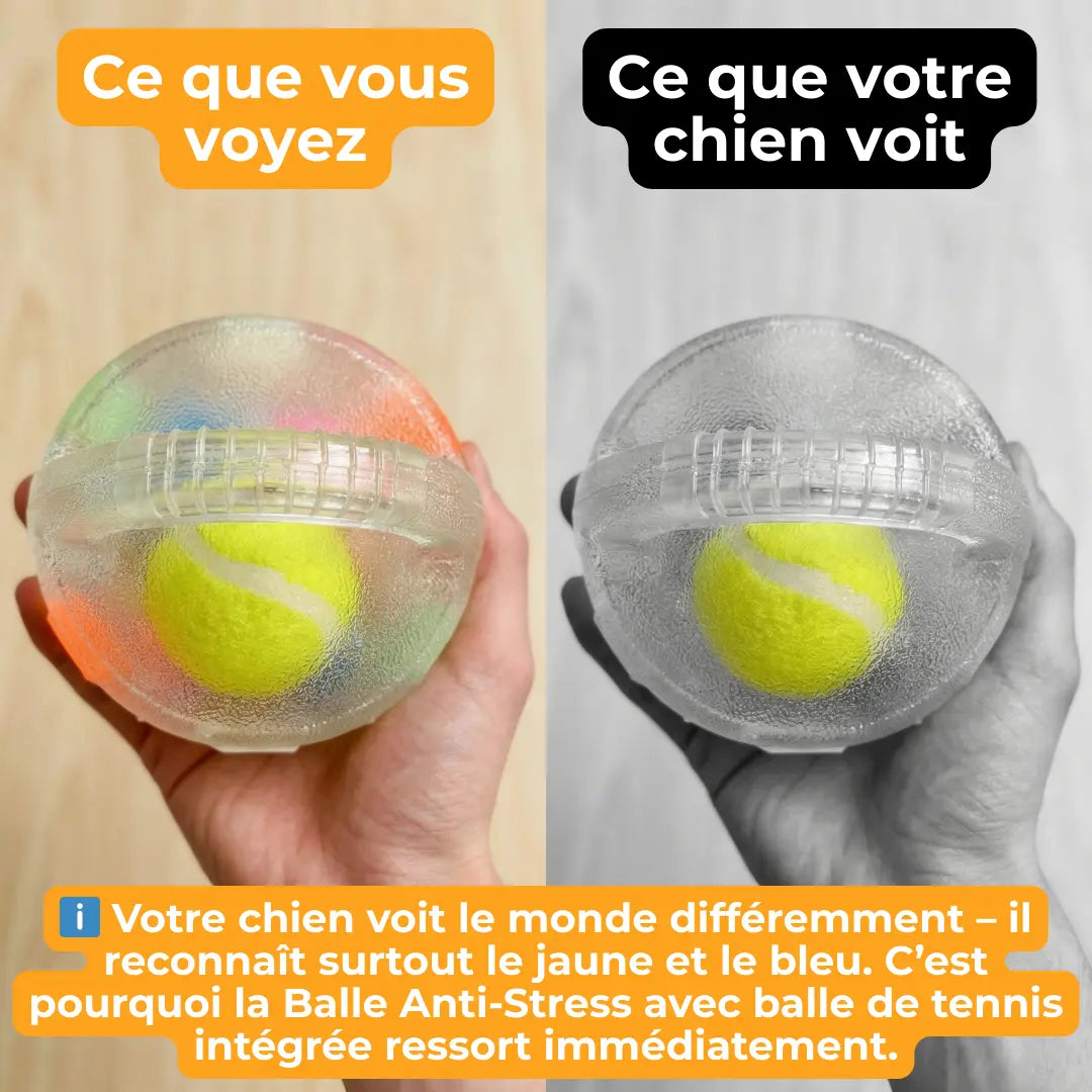 Balle Anti-Stress