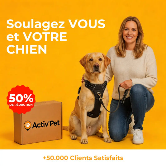 Harnais Anti-Traction Activ'Pet
