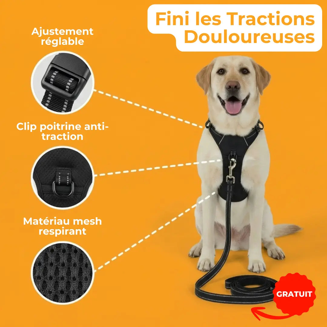 Harnais Anti-Traction Activ'Pet
