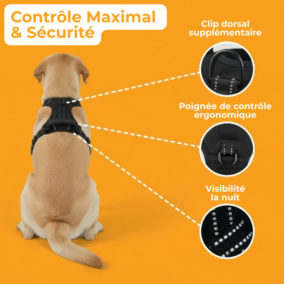 Harnais Anti-Traction Activ'Pet