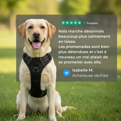 Harnais Anti-Traction Activ'Pet