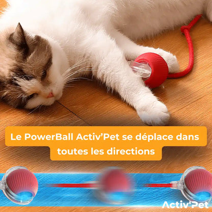 PowerBall Activ’Pet