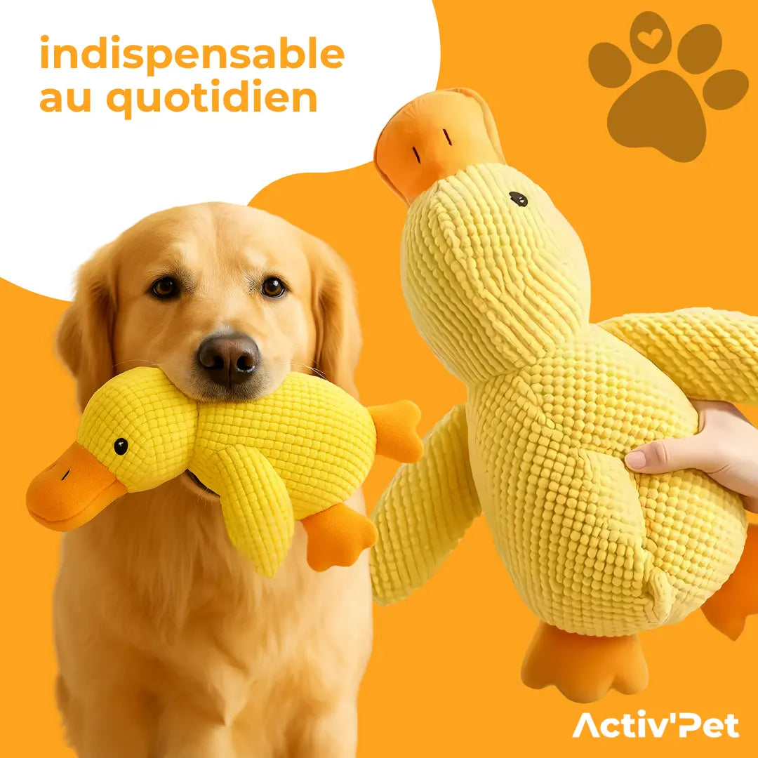 Canard anti-stress