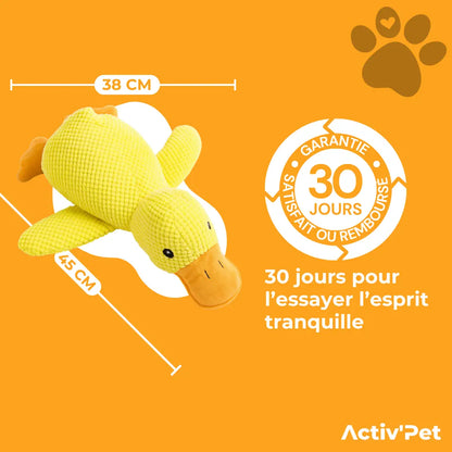 Canard anti-stress