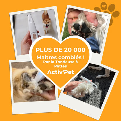 Tondeuse à pattes