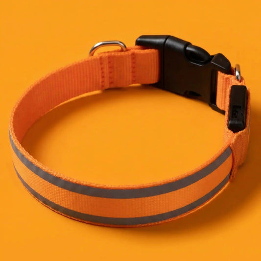 Collier lumineux Activ'Pet