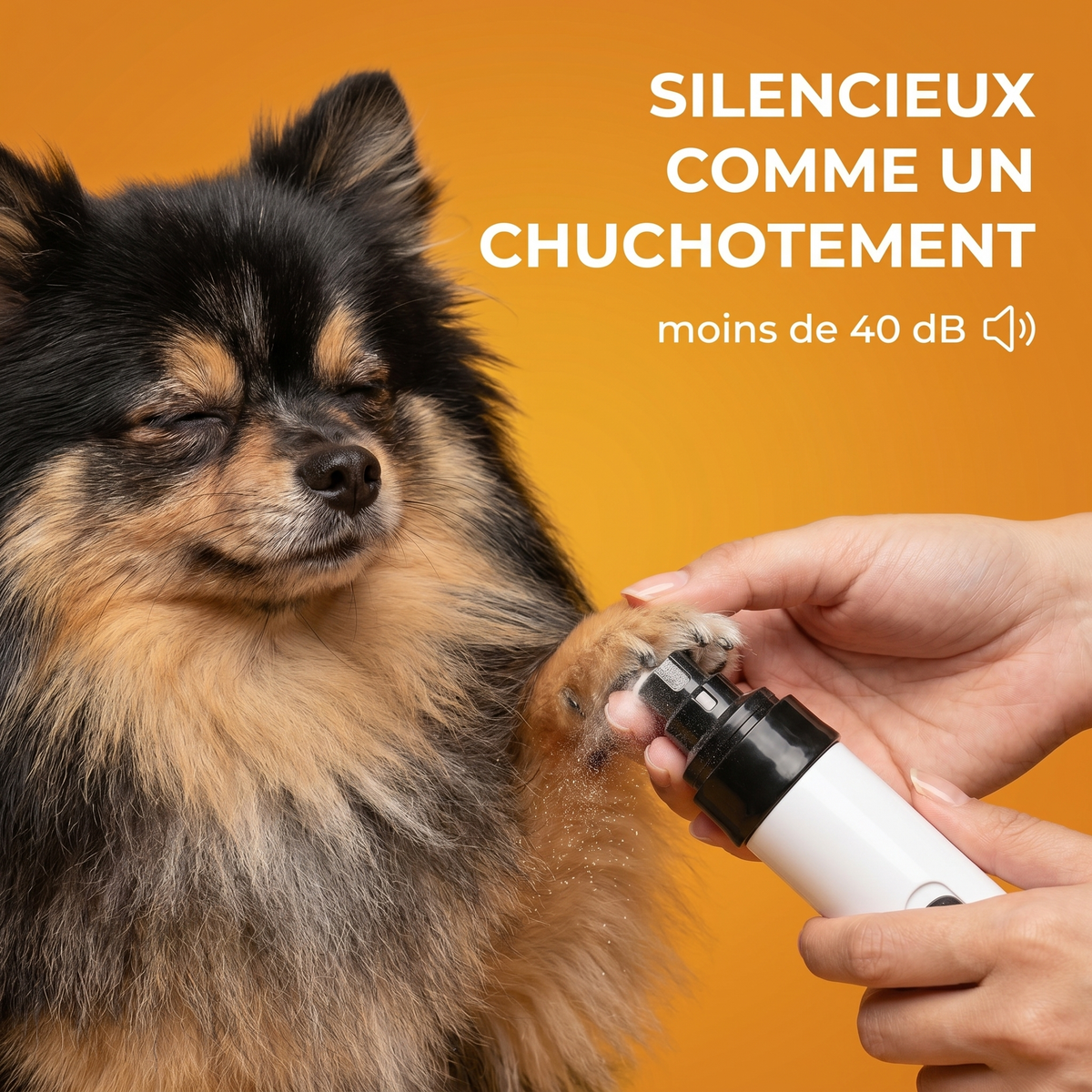 Lime Silencieuse Pro