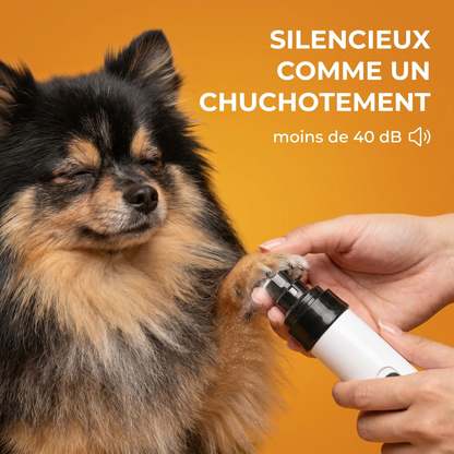 Lime Silencieuse Pro