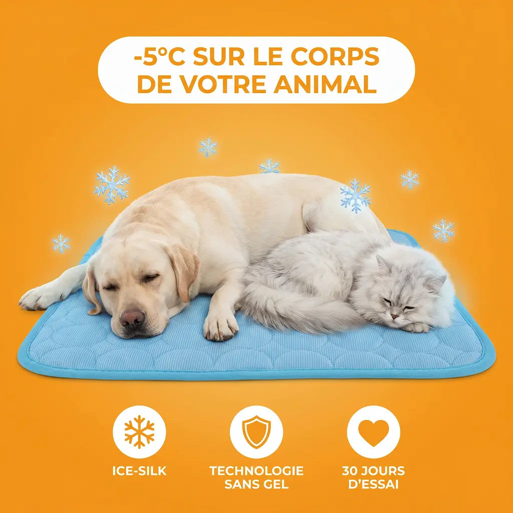 Tapis Pattes'Fraîches