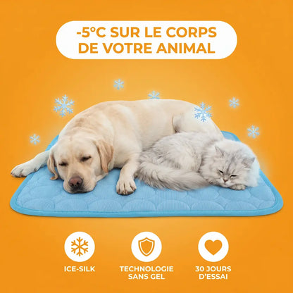 Tapis Pattes'Fraîches