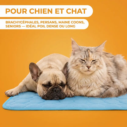 Tapis Pattes'Fraîches