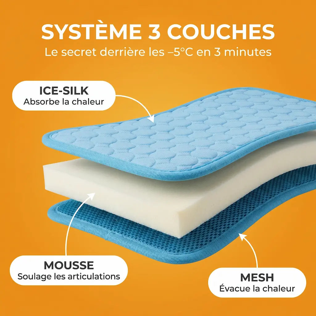 Tapis Pattes'Fraîches