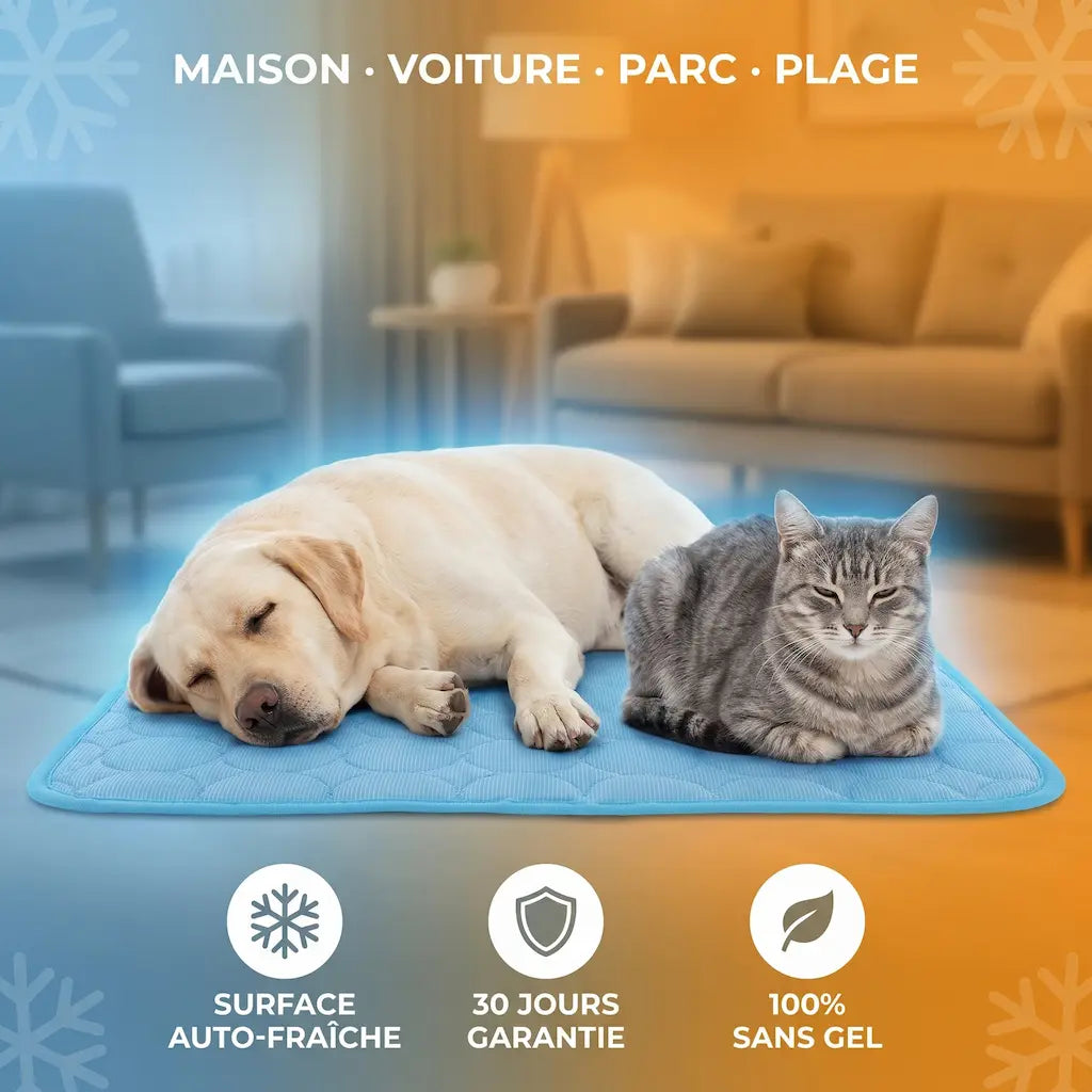 Tapis Pattes'Fraîches