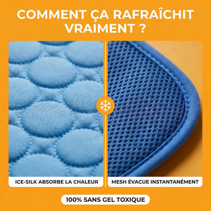 Tapis Pattes'Fraîches