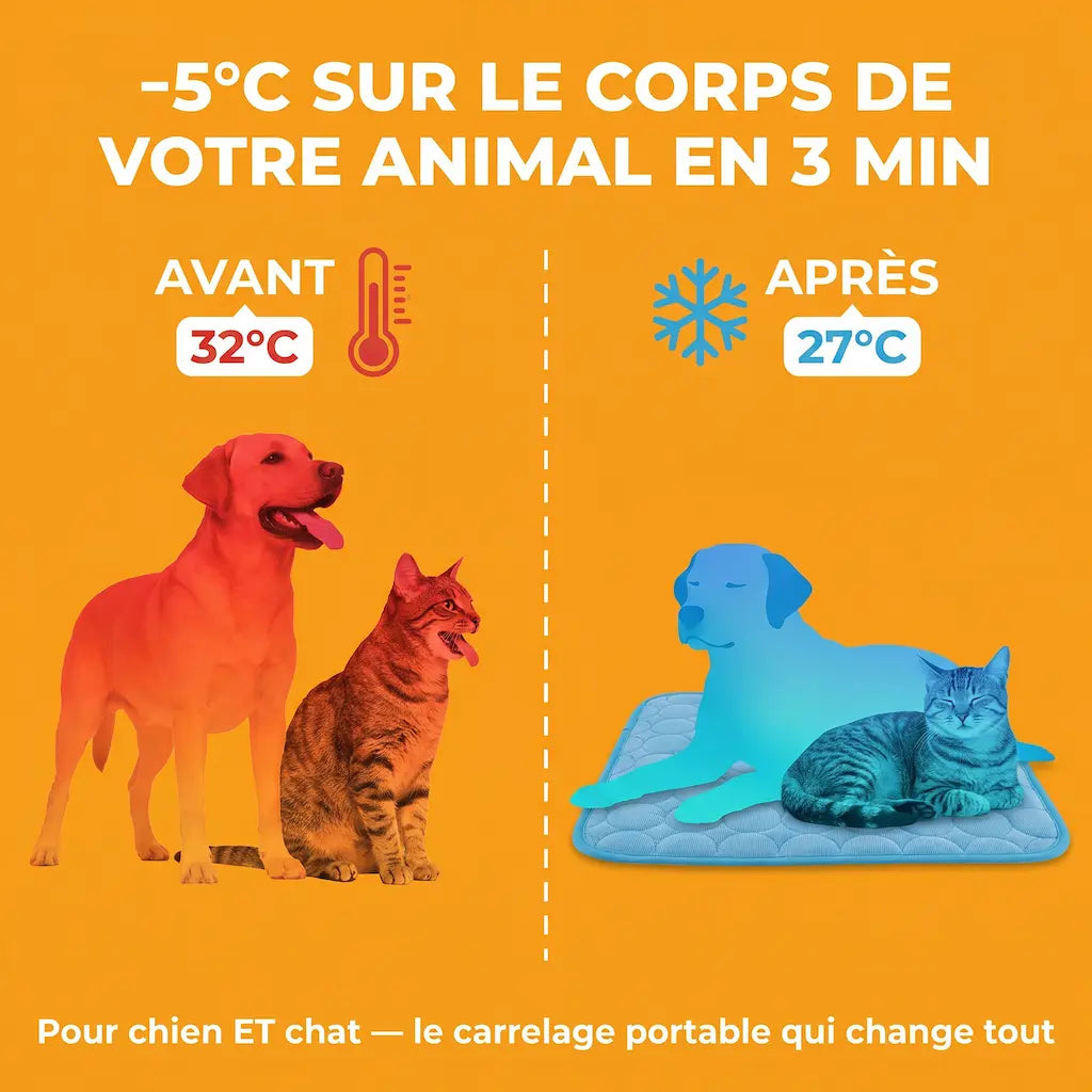 Tapis Pattes'Fraîches