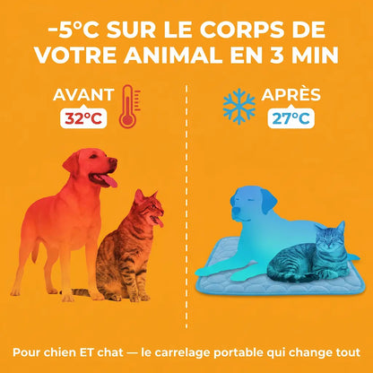 Tapis Pattes'Fraîches