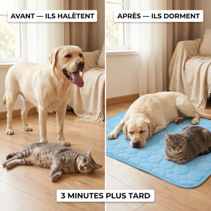 Tapis Pattes'Fraîches