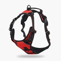 Harnais Anti-Traction Activ'Pet