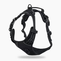 Harnais Anti-Traction Activ'Pet