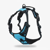 Harnais Anti-Traction Activ'Pet